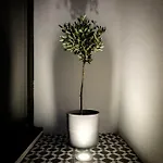 Casa Do Vento By Sweet * Aveiro