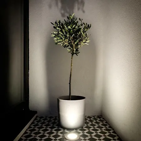 Casa Do Vento By Sweet * Aveiro