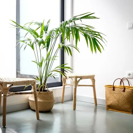 Casa Do Vento By Sweet * Aveiro