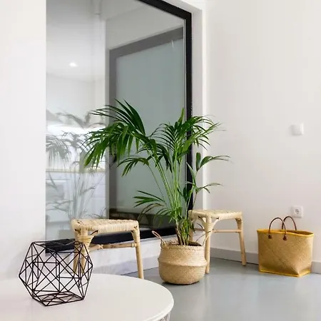 Apartman Casa Do Vento By Sweet Aveiro