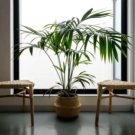 Casa Do Vento By Sweet