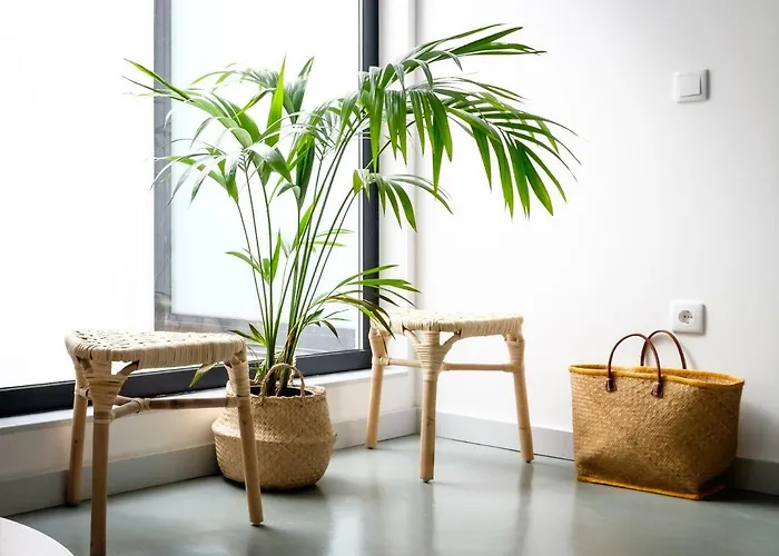 Casa Do Vento By Sweet * Aveiro